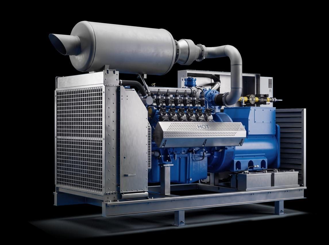 Energy Line Genset without enclosure: gas engine, single-bearing alternator, radiator and exhaust silencer on one frame